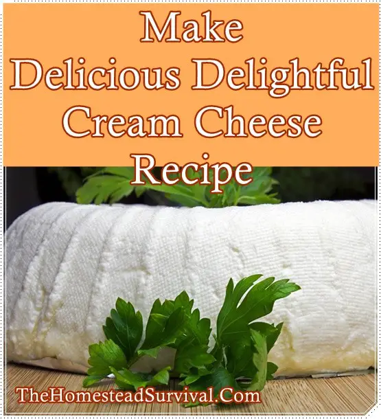 Make Delicious Delightful Cream Cheese Recipe