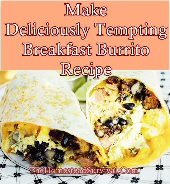 Make Deliciously Tempting Breakfast Burrito Recipe