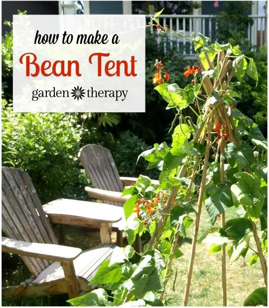Make Garden Green Beans Tent Fort for Kids Project