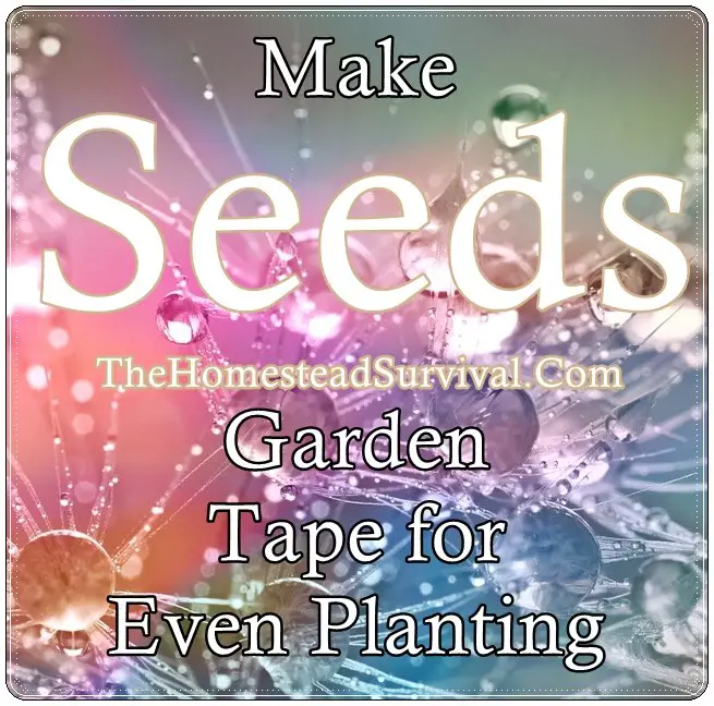 Make Seeds Garden Tape for Even Planting