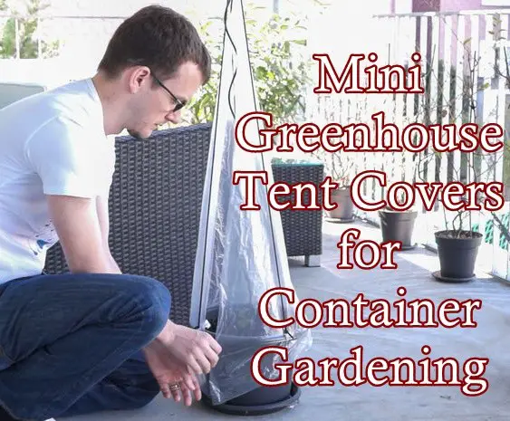 Mini Greenhouse Tent Covers for Container Gardening