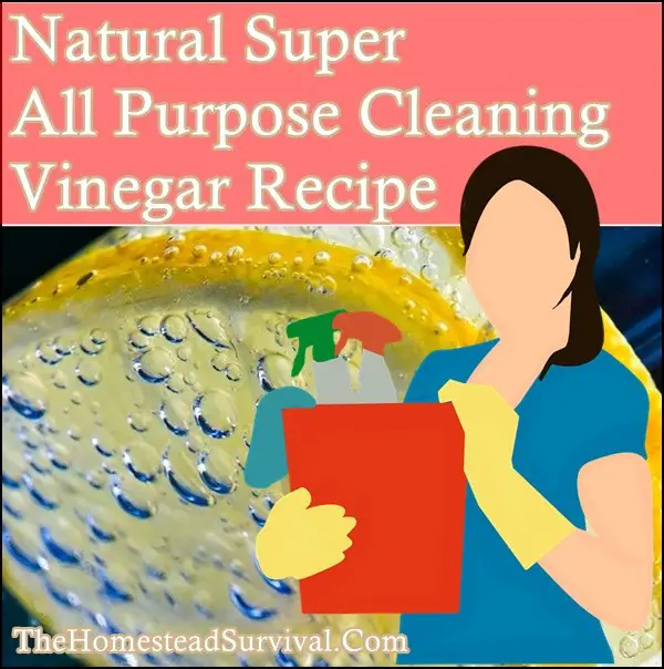 Natural Super All Purpose Cleaning Vinegar Recipe