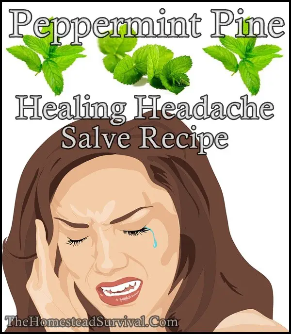 Peppermint Pine Healing Headache Salve Recipe