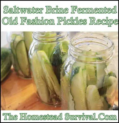Saltwater Brine Fermented Old Fashion Pickles Recipe - food storage