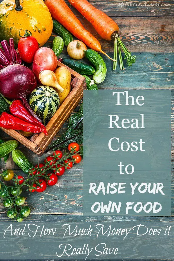 Real Cost of Growing Homesteading Garden