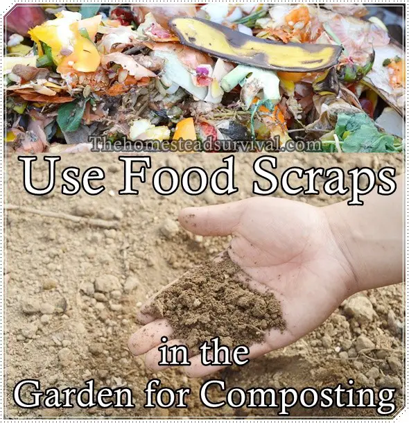 Use Food Scraps in the Garden for Composting 
