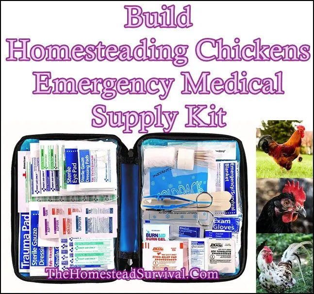 Build Homesteading Chickens-Emergency Medical Supply Kit