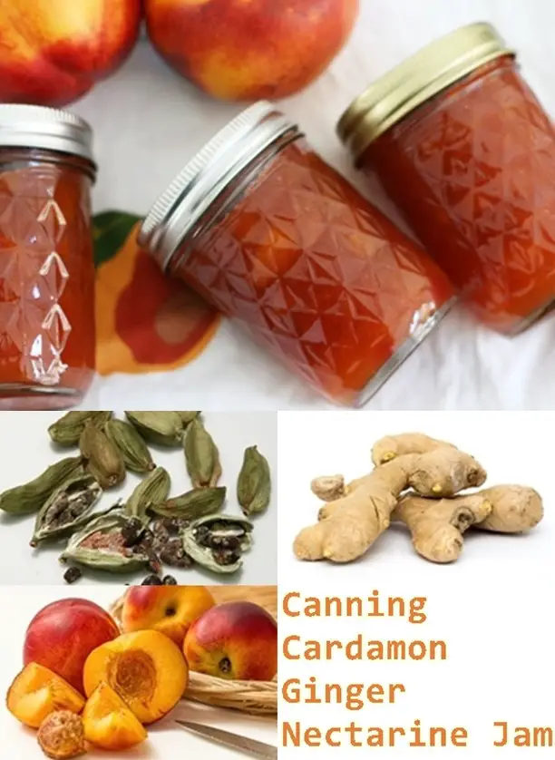 Canning Cardamon Ginger Nectarine Jam