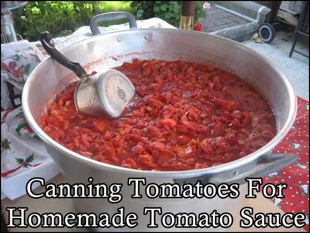 Canning Tomatoes For Homemade Tomato Sauce