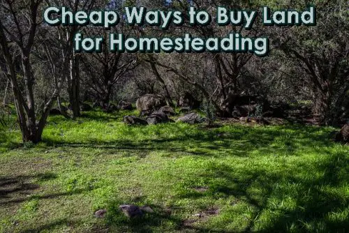 Cheap Ways to Buy Land for Homesteading
