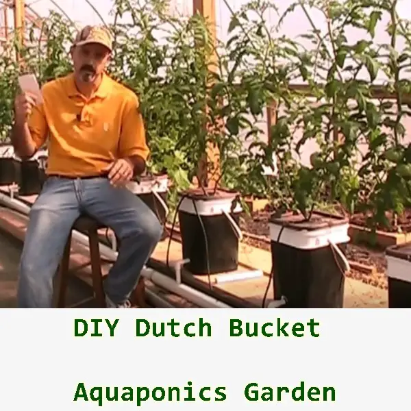 DIY Dutch Bucket Aquaponics Garden - gardening