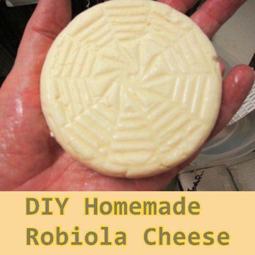 DIY Homemade Robiola Cheese