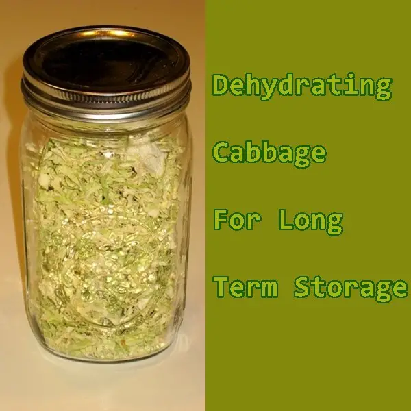 Dehydrating Cabbage For Long Term Storage