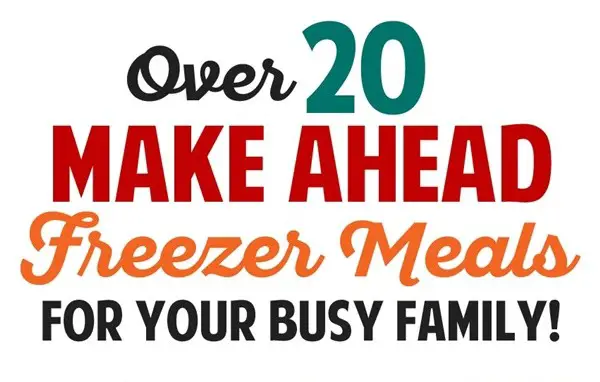 20 Easy to Prepare Frugal Freezer Meals Recipes