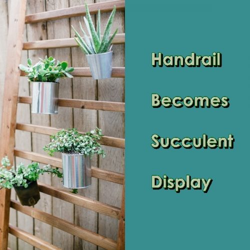 Handrail Becomes Succulent Display