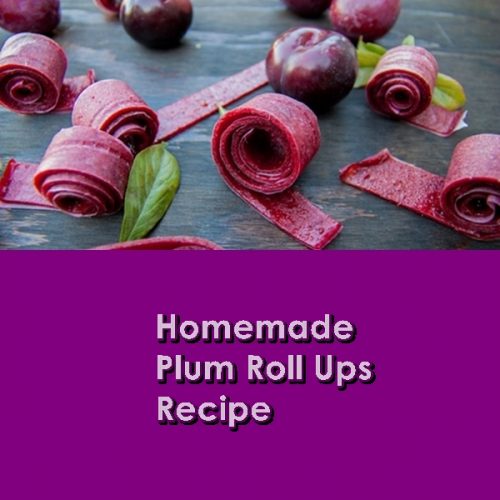 Homemade Plum Roll Ups Recipe
