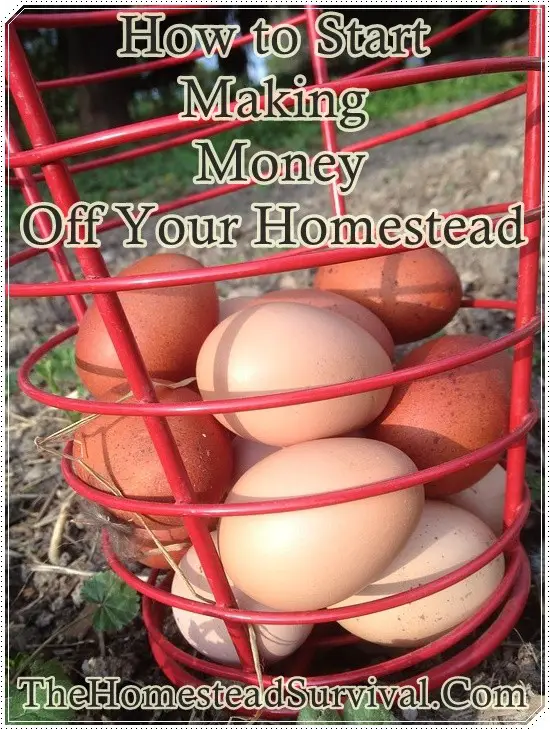 How to Start Making Money Off Your Homestead