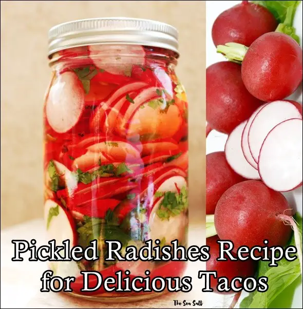 Pickled Radishes Recipe for Delicious Tacos