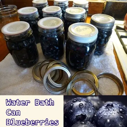 Homemade Canning Blueberries Recipe