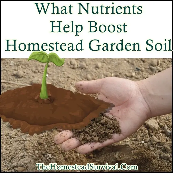 What Nutrients Help Boost Homestead Garden Soil