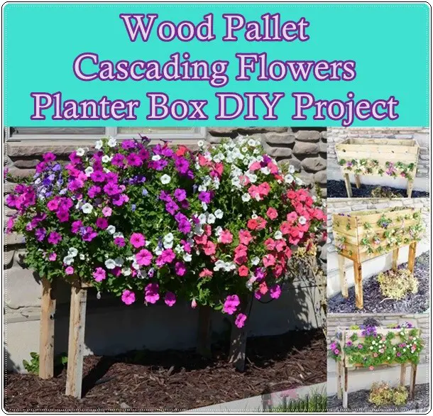 Wood Pallet Cascading Flowers Planter Box DIY Project 