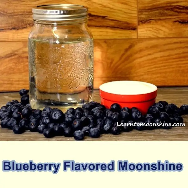 Blueberry Flavored Moonshine