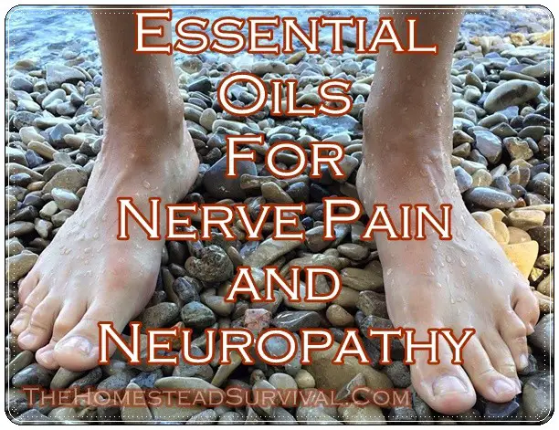 Essential-Oils-For-Nerve-Pain-and-Neuropathy