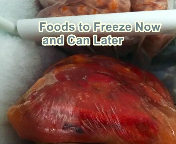 Foods to Freeze Now and Can Later