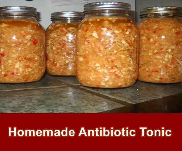 Homemade Antibiotic Tonic