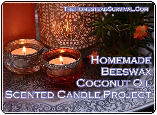 Homemade Beeswax Coconut Oil Scented Candle Project