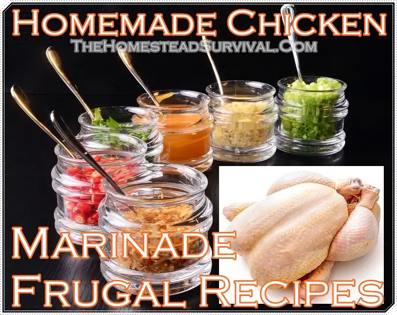 Homemade Chicken Marinade Frugal Recipes