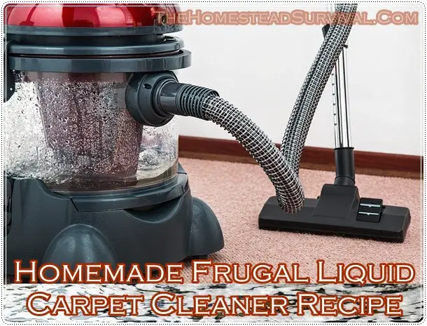 Homemade Frugal Liquid Carpet Cleaner Recipe