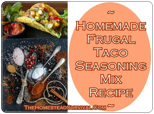 Homemade Delicious Taco Seasoning Mix Recipe
