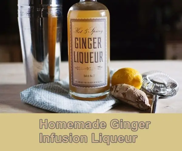 Homemade Ginger Infusion Liqueur