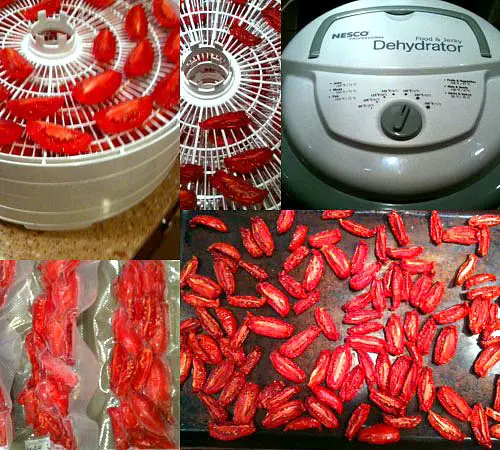 Making Delicious Sun Dried Dehydrated Tomatoes