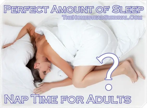 Perfect Amount of Sleep Nap Time for Adults ?