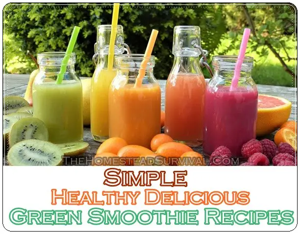 Simple Healthy Delicious Green Smoothie Recipes