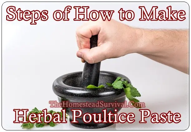 Steps of How to Make Herbal Poultice Paste