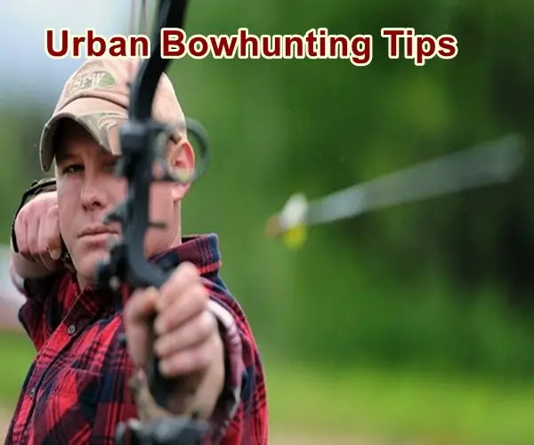 Urban Bowhunting Tips