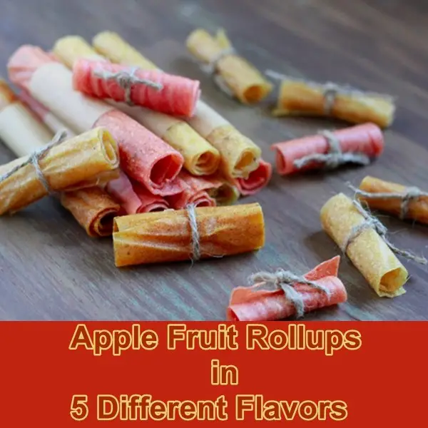 Apple Fruit Roll-ups in 5 Different Flavors