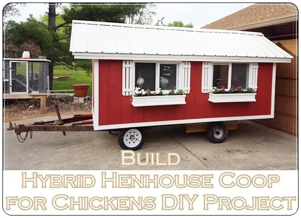 Build Hybrid Henhouse Coop for Chickens DIY Project