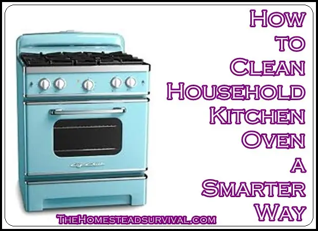 Clean Household Kitchen Oven a Smarter Way 