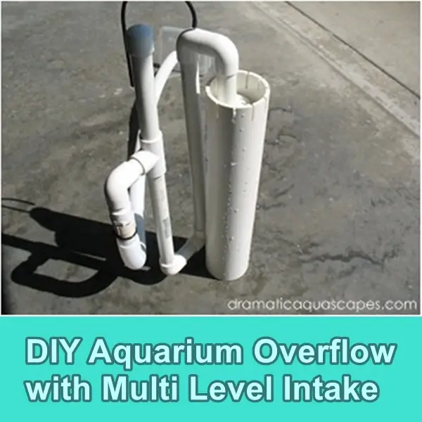 DIY Aquarium Overflow with Multi Level Intake