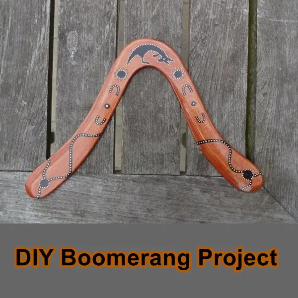 DIY Boomerang Project