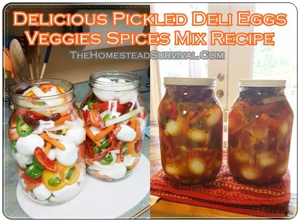 Delicious Pickled Deli Eggs Veggies Spices Mix Recipe