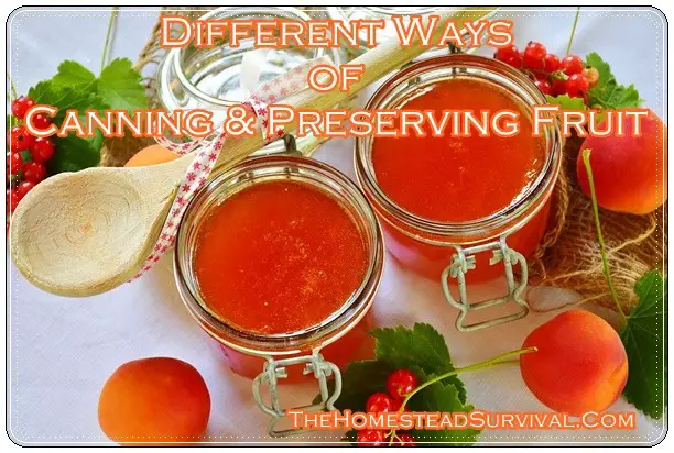 Different Ways of Canning and Preserving Fruit
