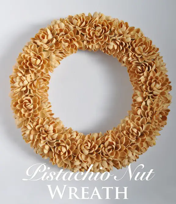 Empty Pistachio Nuts into Wreath Craft Project