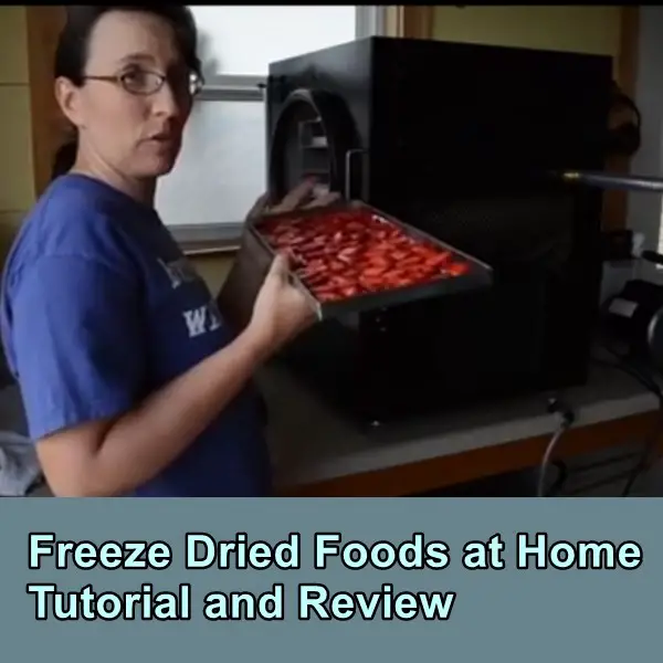 Freeze Dried Foods at Home Tutorial and Review