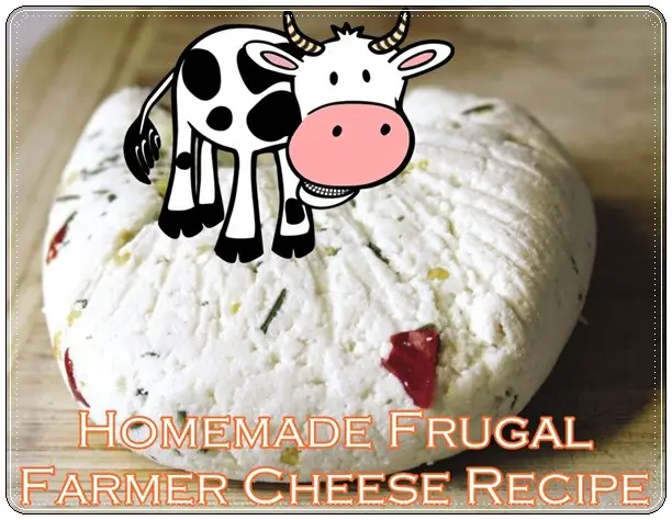 Homemade Frugal Farmer Cheese Recipe