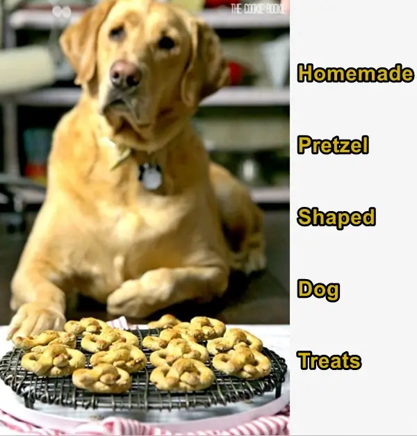 Homemade Pretzel Shaped Dog Treats 